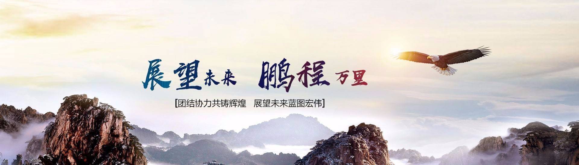 公司简介