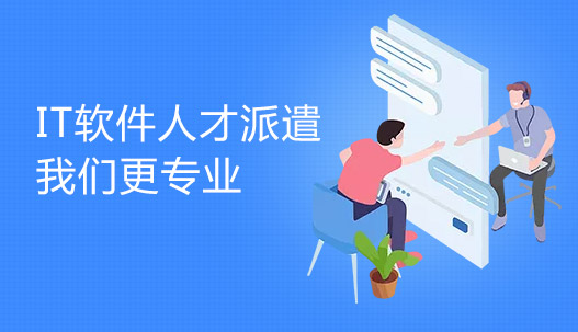 IT人才外包/驻场开发解决方案